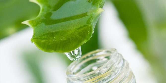 Cara Pilih Produk Skincare Alami dan Ramah Kulit